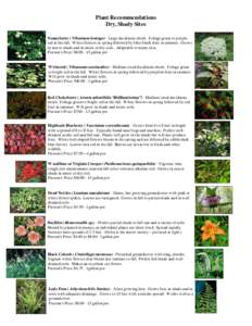 Botany / Sustainable gardening / Viburnum / Ziziphus mauritiana / Agriculture