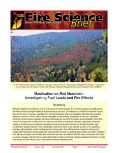 In the Red Mountain region of California’s Sequoia National Forest, researchers investigated the impact of mastication on fuel loads and fire effects. Credit: Scott Williams, Adaptive Management Services Enterprise Tea