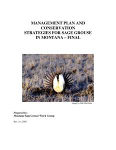 MANAGEMENT PLAN AND CONSERVATION STRATEGIES FOR SAGE GROUSE IN MONTANA – FINAL  Image by Bob Martinka