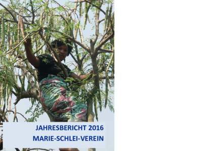 Microsoft Word - Jahresbericht 2016