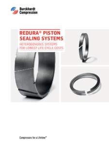 Redura® Piston Sealing Systems Heterogeneous Systems for Lowest Life Cycle Costs  2