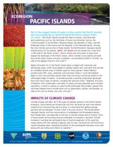 Ecoregion:  Pacific Islands Set in the largest body of water in the world, the Pacific Islands are surrounded by an astonishing 63.8 million square miles of water.1 The Pacific Islands include the State of Hawai’i, and