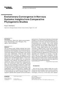 Brain Behav Evol 2002;59:240–249  Evolutionary Convergence in Nervous