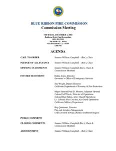 BLUE RIBBON FIRE COMMISSION  Commission Meeting THURSDAY, DECEMBER 4, 2003 Radisson Hotel, San Bernardino[removed]