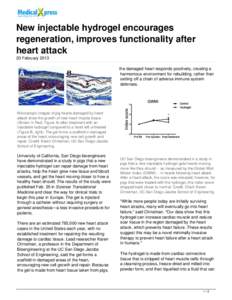 New injectable hydrogel encourages regeneration, improves functionality after heart attack