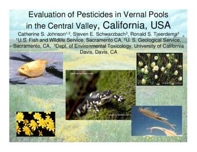 Evaluation of Pesticides in Vernal Pools in the Central Valley, California, USA Catherine S. Johnson, Steven E. Schwarzbach,  and Ronald S. Tjeerdema