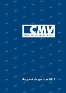 Rapport de gestion 2015  Crédit Mutuel de la Vallée Avenir  Succès