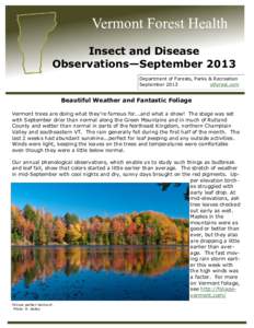 Vermont Forest Health Insect and Disease Observations—September 2013 Department of Forests, Parks & Recreation September 2013 vtforest.com