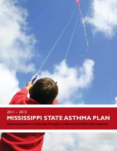 2011 – 2015  MISSISSIPPI STATE ASTHMA PLAN Addressing Asthma in Mississippi Through A Collaborative Public Health Approach  2011 – 2015