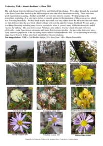 Microsoft Word - Aranda Bushland.doc