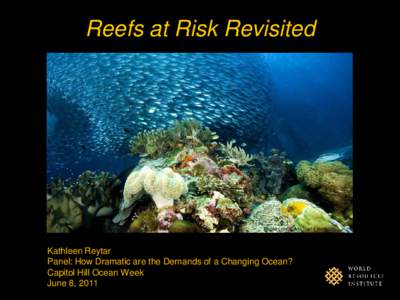 Reefs at Risk Revisited  Photo credit: Michael Emerson Kathleen Reytar Panel: How Dramatic are the Demands of a Changing Ocean?