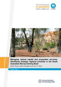 Managing natural capital and ecosystem services: Identifying strategic regional priorities in the South Australian Murray-Darling Basin Brett A. Bryan, Agnes Grandgirard and John R. Ward Phase 2 Report