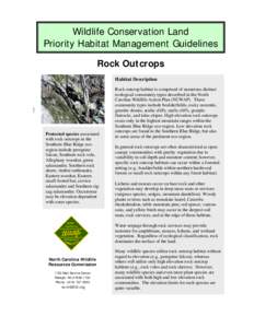 Wildlife Conservation Land Priority Habitat Management Guidelines Rock Outcrops Habitat Description  Protected species associated