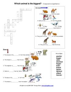 Which animal is the biggest?  Comparatives/superlatives Across