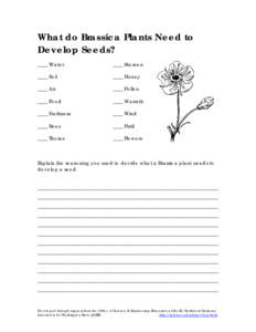 Microsoft Word - PG.Justified List.What a Plant Needs to Dev Seeds.doc