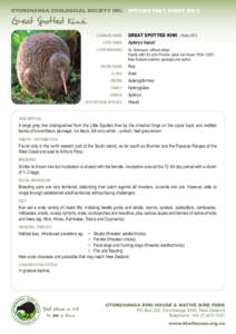 OTOROHANGA ZOOLOGICAL SOCIETY INC.	 SPECIES FACT SHEET NO.2  Great Spotted Kiwi 