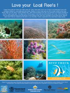 Reef / Coral / Florida Reef / Environmental threats to the Great Barrier Reef / Coral reefs / Physical geography / Water