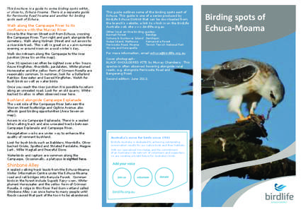 LL  This brochure is a guide to some birding spots within,