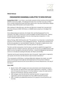 Media Release  ENDANGERED MAMMALS AIRLIFTED TO NEW REFUGE Sunday May 8, 2011: In an historic cross-border operation led by scientists at the Australian Wildlife Conservancy (AWC), 39 endangered Greater Stick-nest Rats ha