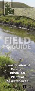 Grasslands / Habitats / Hydrology / Riparian zone / Rivers / Grazing / Prairie / Poaceae / Forb / Biology / Botany / Ecology