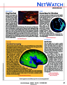 Non-coding RNA / RNA / Small nucleolar RNA / Acris crepitans / Genetics / Small nuclear RNA / Biology