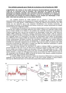 Une méthode puissante pour l’étude de la structure et de la fonction de l’ARN L’identification des résidus et des motifs structuraux fonctionnellement importants dans l’ARN est un processus long et complexe. D