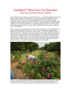 EarthKindTM Rose News for December Take a Lesson from Farmer’s Branch Farmer’s Branch could be called the rose capital of North Texas. As part of their beautiful city park system under the capable direction of Pam Sm