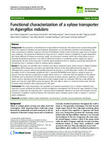 Monosaccharides / Xylose metabolism / Saccharomycetes / Integral membrane proteins / Nutrition / Xylose isomerase / Xylose / Glucose transporter / L-xylose 1-dehydrogenase / Biology / Chemistry / Model organisms