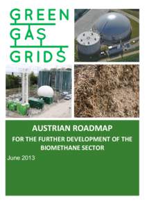 AUSTRIAN ROADMAP FOR THE FURTHER DEVELOPMENT OF THE BIOMETHANE SECTOR June 2013  TABLE OF CONTENTS