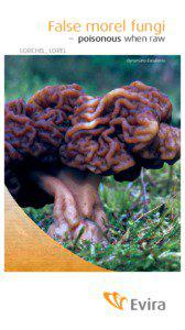 False morel fungi – poisonous when raw LORCHEL, LOREL