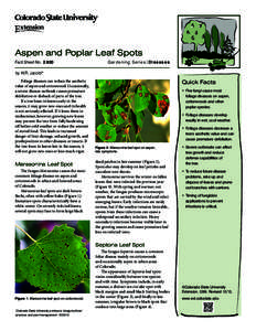 Aspen and Poplar Leaf Spots Fact Sheet No.	[removed]Gardening Series| Diseases  by W.R. Jacobi*