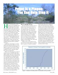 Privet is a Plague: You Can Help Stop It By James H. Miller Southern Research Station, USDA Forest Service