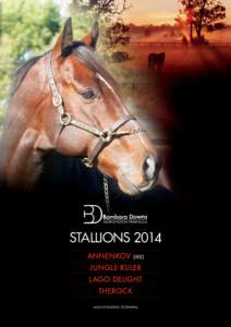 STALLIONS 2014 ANNENKOV (IRE) JUNGLE RULER LAGO DELIGHT THEROCK ALSO STANDING STORMHILL