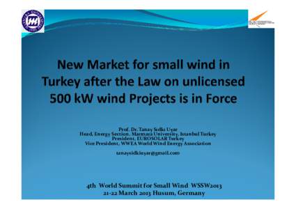 Prof. Dr. Tanay Sıdkı Uyar Head, Energy Section, Marmara University, Istanbul Turkey President, EUROSOLAR Turkey Vice President, WWEA World Wind Energy Association 