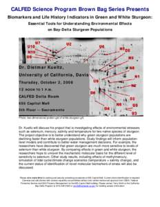 Matter / Megafauna / Green sturgeon / Sacramento-San Joaquin Delta / White sturgeon / CALFED Bay-Delta Program / Selenium / Biomarker / Methylmercury / Chemistry / Biology / Sturgeons