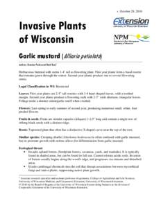 v. October 28, 2010  Invasive Plants of Wisconsin Garlic mustard (Alliaria petiolata) Authors: Brendon Panke and Mark Renz1