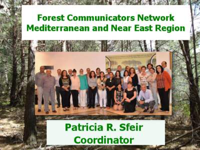 Forest Communicators Network Mediterranean and Near East Region Patricia R. Sfeir Coordinator