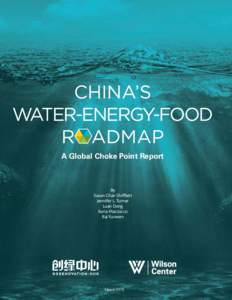 CHINA’S WATER-ENERGY-FOOD R ADMAP A Global Choke Point Report  By