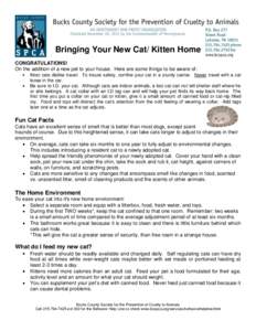 Bringing Your New Cat/ Kitten Home CONGRATULATIONS! On the addition of a new pet to your house. Here are some things to be aware of: Most cats dislike travel. To insure safety, confine your cat in a sturdy carrier. Never