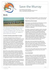 Birds of Western Australia / Calidris / Wading birds / Coorong National Park / Murray River / Bird migration / Wader / Orange-bellied Parrot / Black Swan / Birds of Australia / Ornithology / States and territories of Australia