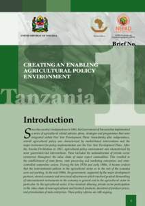 UNITED REPUBLIC OF TANZANIA  1 African Union  NEPAD Planning and