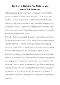 Don´t cry a Diamond / on Plate for you Martin Erik Andersen I 2011 igangsatte Horsens Kommune en proces der skulle forbedre og omstrukturerer en række byrum i Horsens. Et af de byrum var området ved Vitus Berings plad