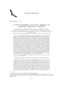 FEATURE ARTICLES  The Condor 108:253–269 # The Cooper Ornithological Society[removed]JUVENILE MOVEMENT AND NATAL DISPERSAL OF