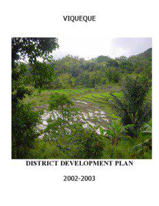 VIQUEQUE  DISTRICT DEVELOPMENT PLAN