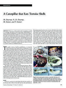 RESEARCH  A Caterpillar that Eats Tortoise Shells