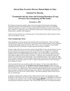 Special Rapporteur / Chen Guangcheng / Linyi / 21 and Over / United Nations Human Rights Council / Yinan County / Leandro Despouy / International relations / Human rights / United Nations Special Rapporteurs / Ethics