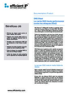 Documentation Produit  Bénéfices clé •	 Eliminez les risques avant qu’une attaque n’affecte votre activité •	 Déployez des services DNS cache capables de supporter aisément des attaques volumétriques •	 