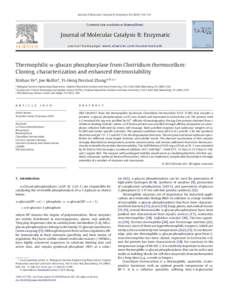 Thermophilic Î±-glucan phosphorylase from Clostridium thermocellum: Cloning, characterization and enhanced thermostability