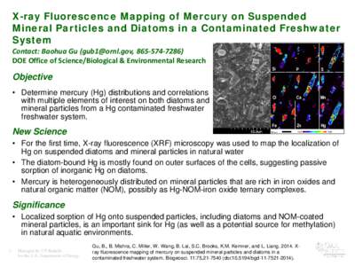 X-ray Fluorescence Mapping of Mercury on Suspended Mineral Particles and Diatoms in a Contaminated Freshwater System Contact: Baohua Gu ([removed], [removed]DOE Office of Science/Biological & Environmental Resea