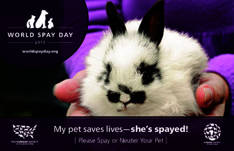 worldspayday.org  My pet saves lives—she’s spayed! [ Please Spay or Neuter Your Pet ]  SPAY/ NEUTER SAVES LIVES